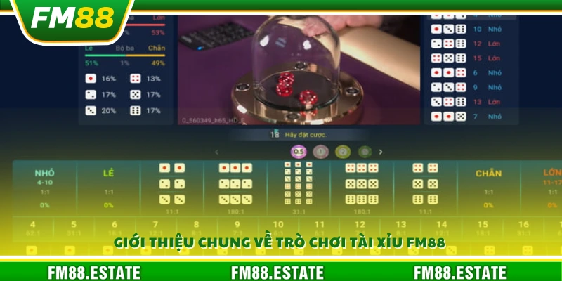 Tài xỉu FM88 – Cược nhanh thắng lớn mỗi ngày 2 Tổng quan về trò chơi Tài xỉu FM88